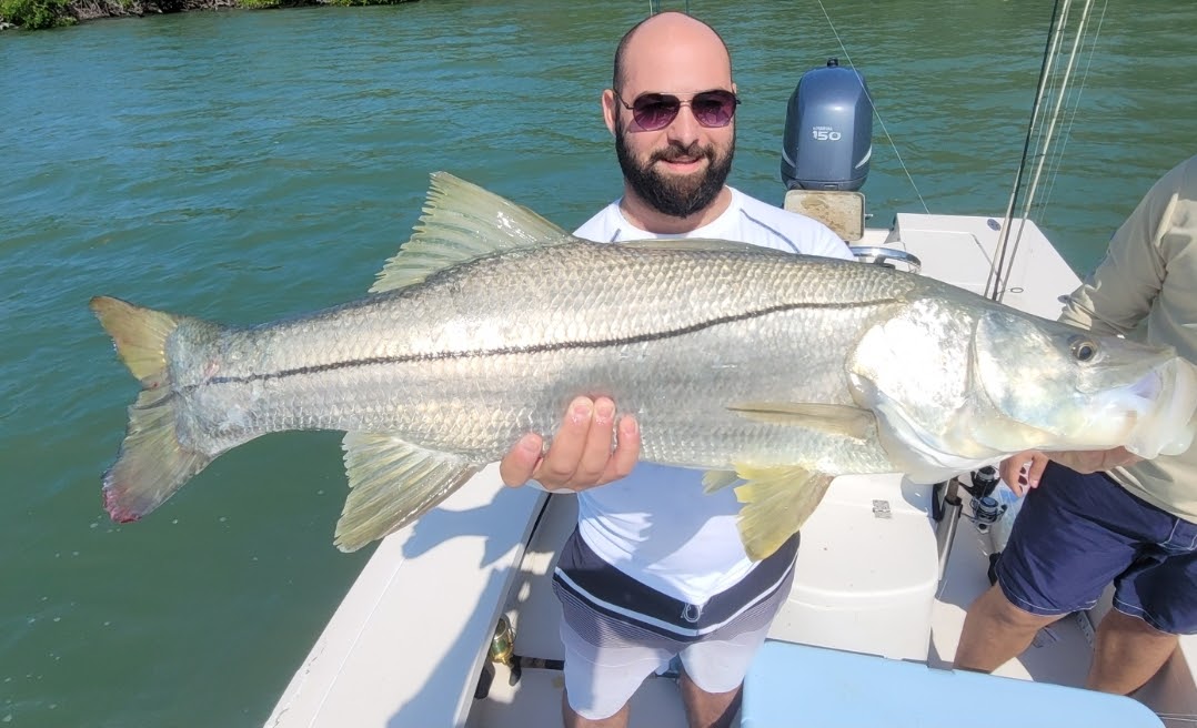 Finally the Giant Snook - Naples Fishing Guide