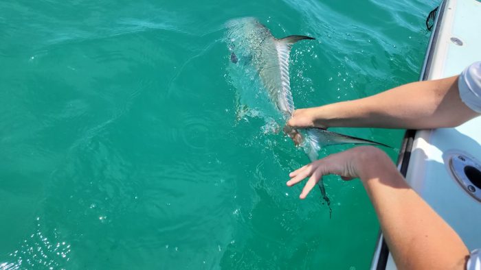 Family Fishing Excitement on Shallow Wrecks