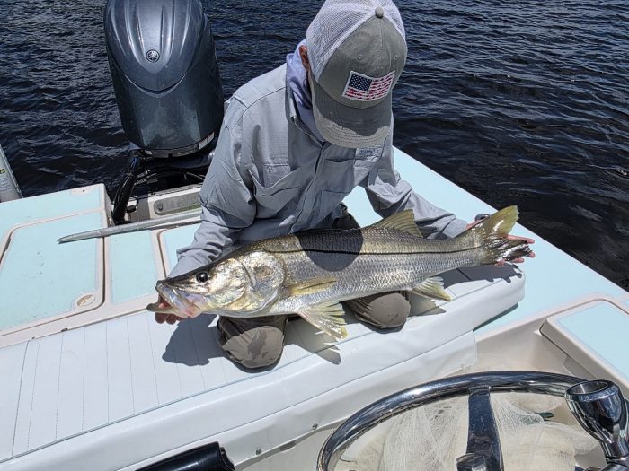 Naples fishing charter produces giant snook