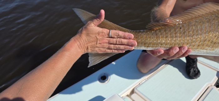 family fishing charter and a big redfish tail